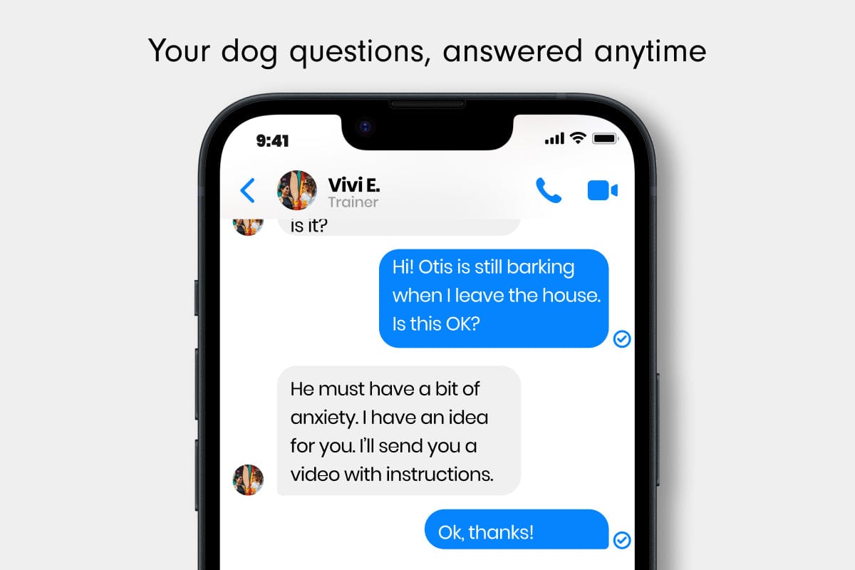 LAY LO Pets Homeschool Service Homeschool Lite: On-Demand Messaging with Dog Experts (Weekly) Lay Lo Pets