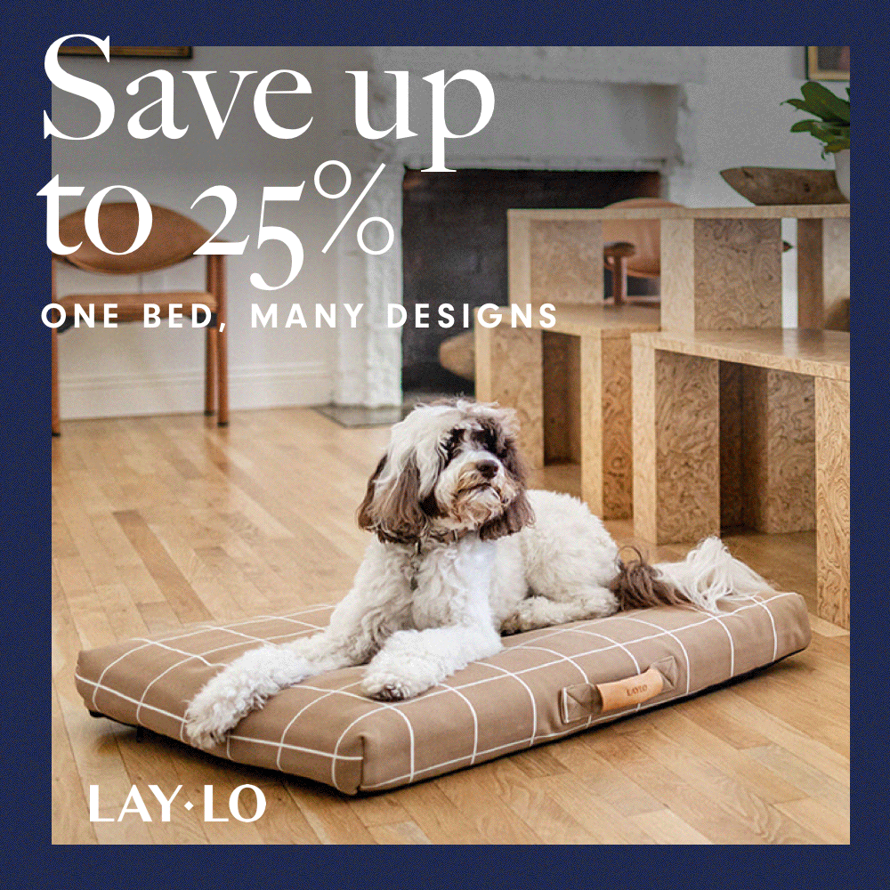 Black Friday Sale - Save up to 25%