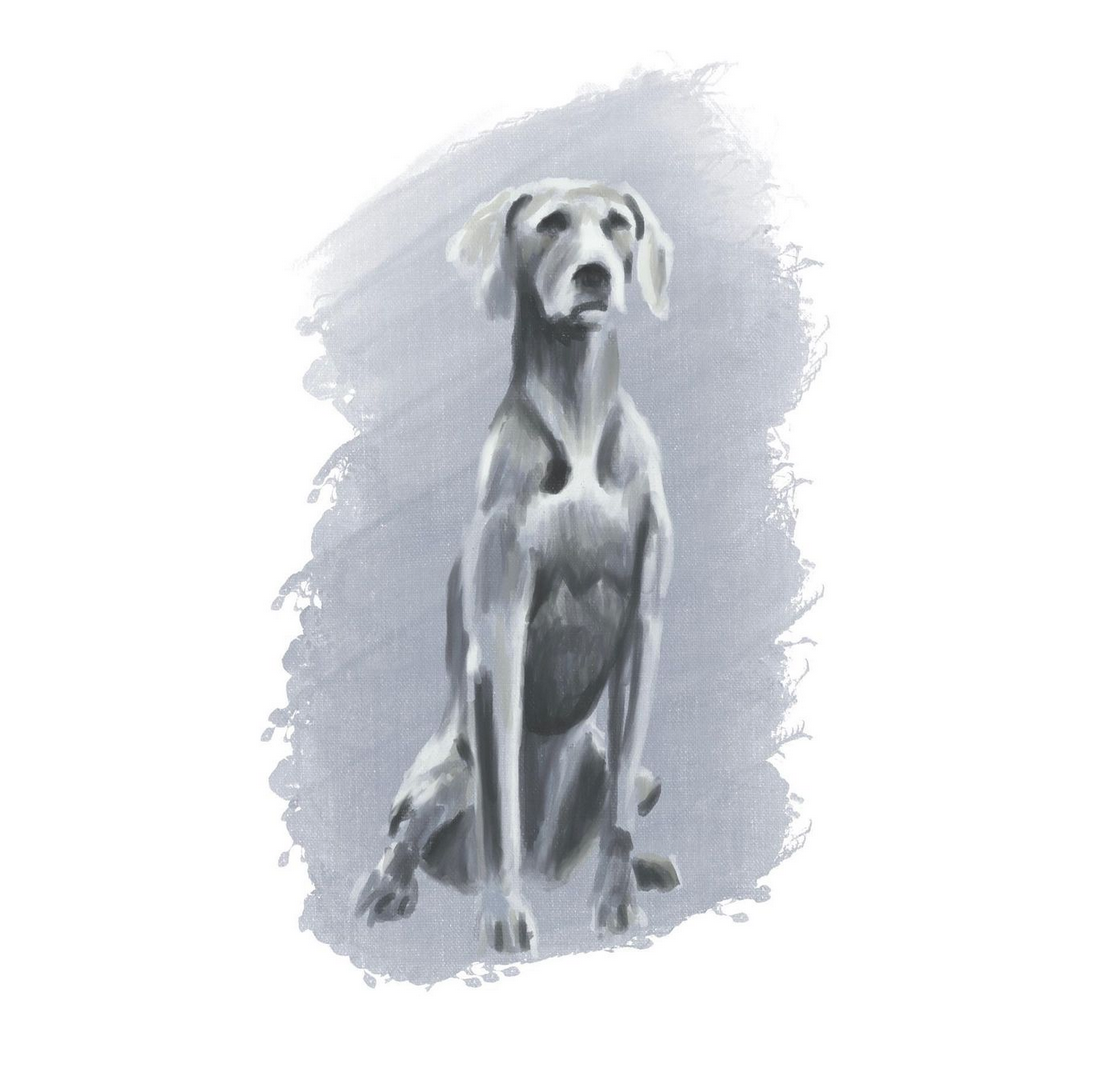 The Weekly Dig: Issue 12 ☞ 100 dog illustrations, a rhinestone cowboy, and our new training school.