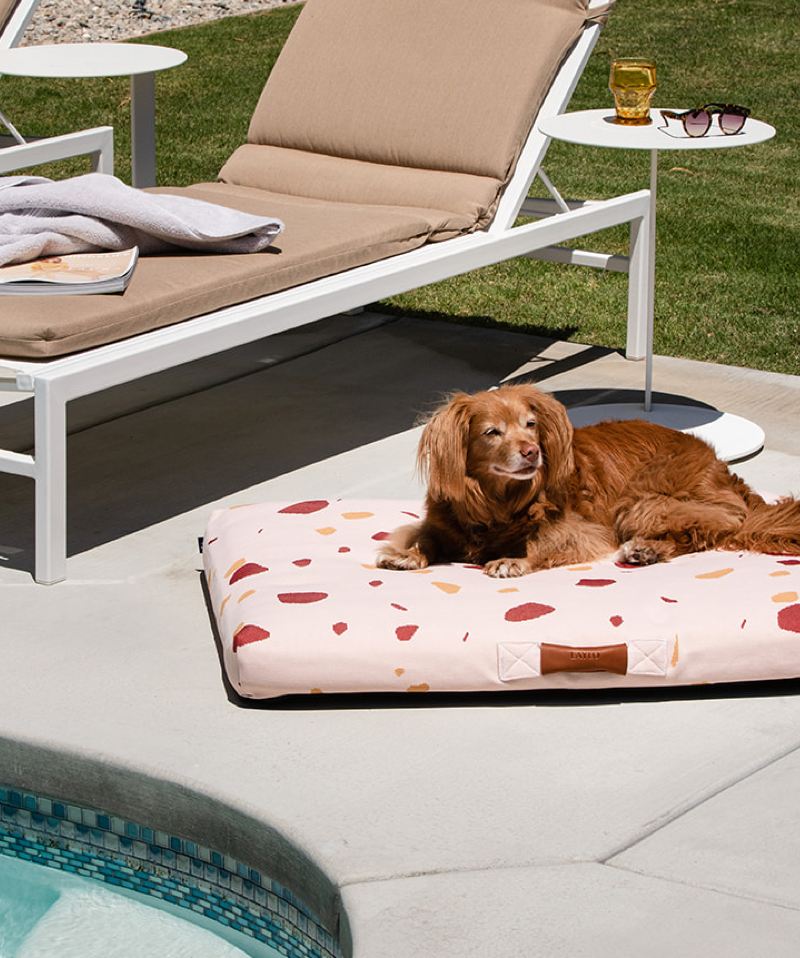 LAY LO Labor Day Sale