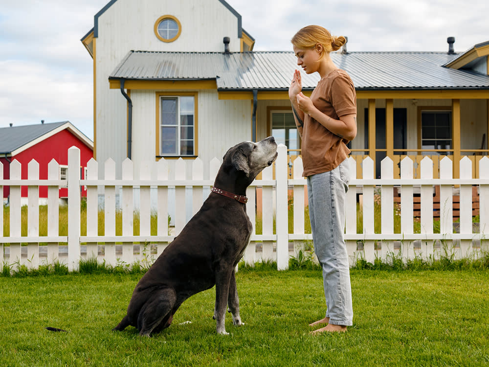 Track Your Dog’s Training Progress