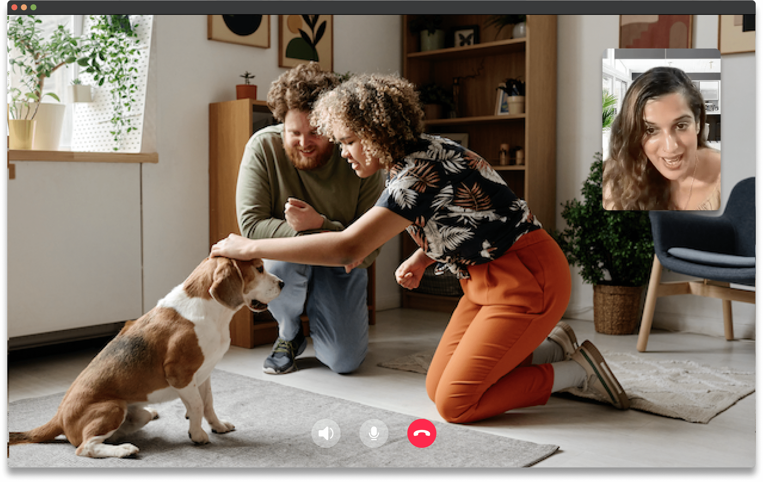 online service dog training, reasons to choose virtual dog training