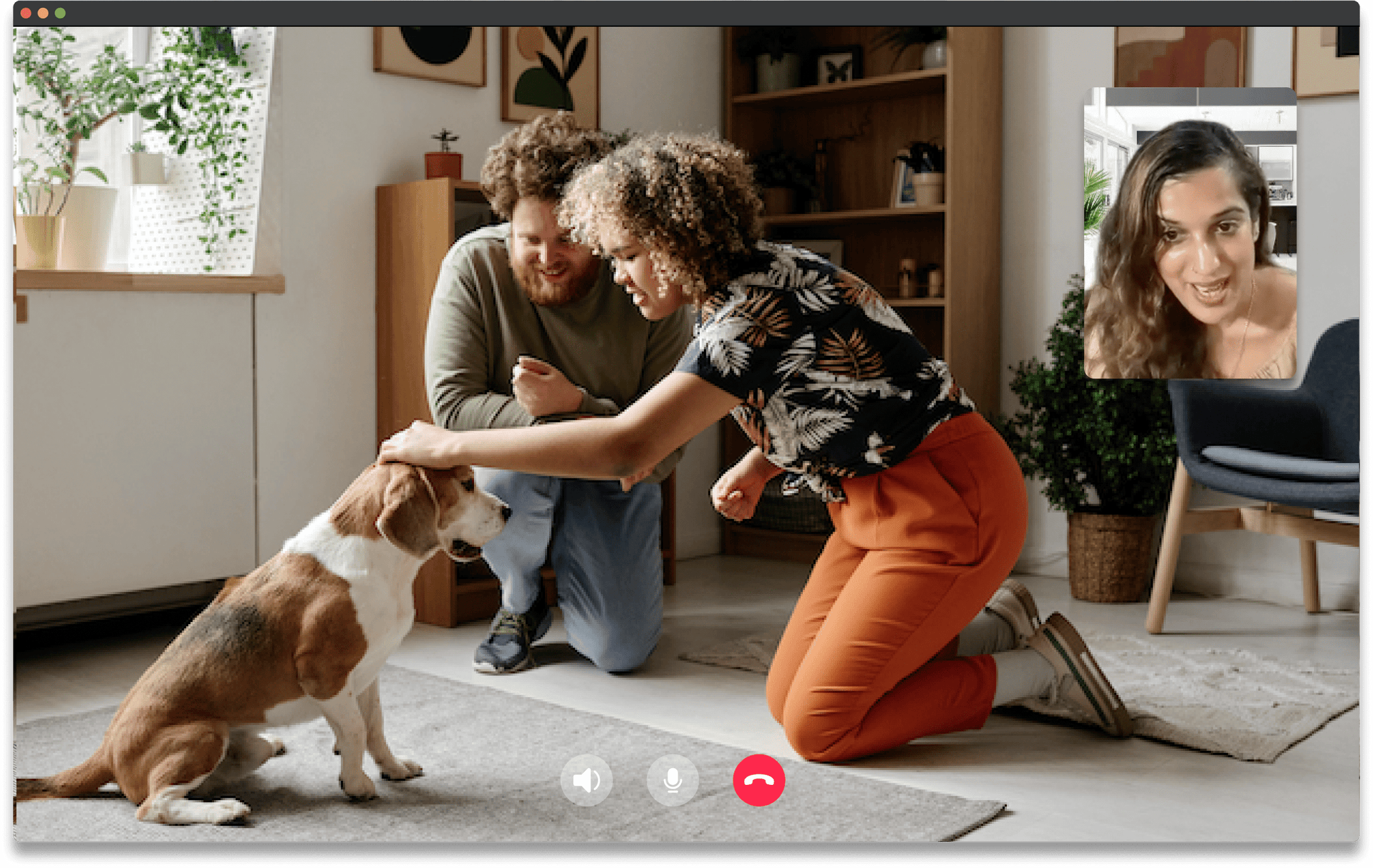 online service dog training, reasons to choose virtual dog training