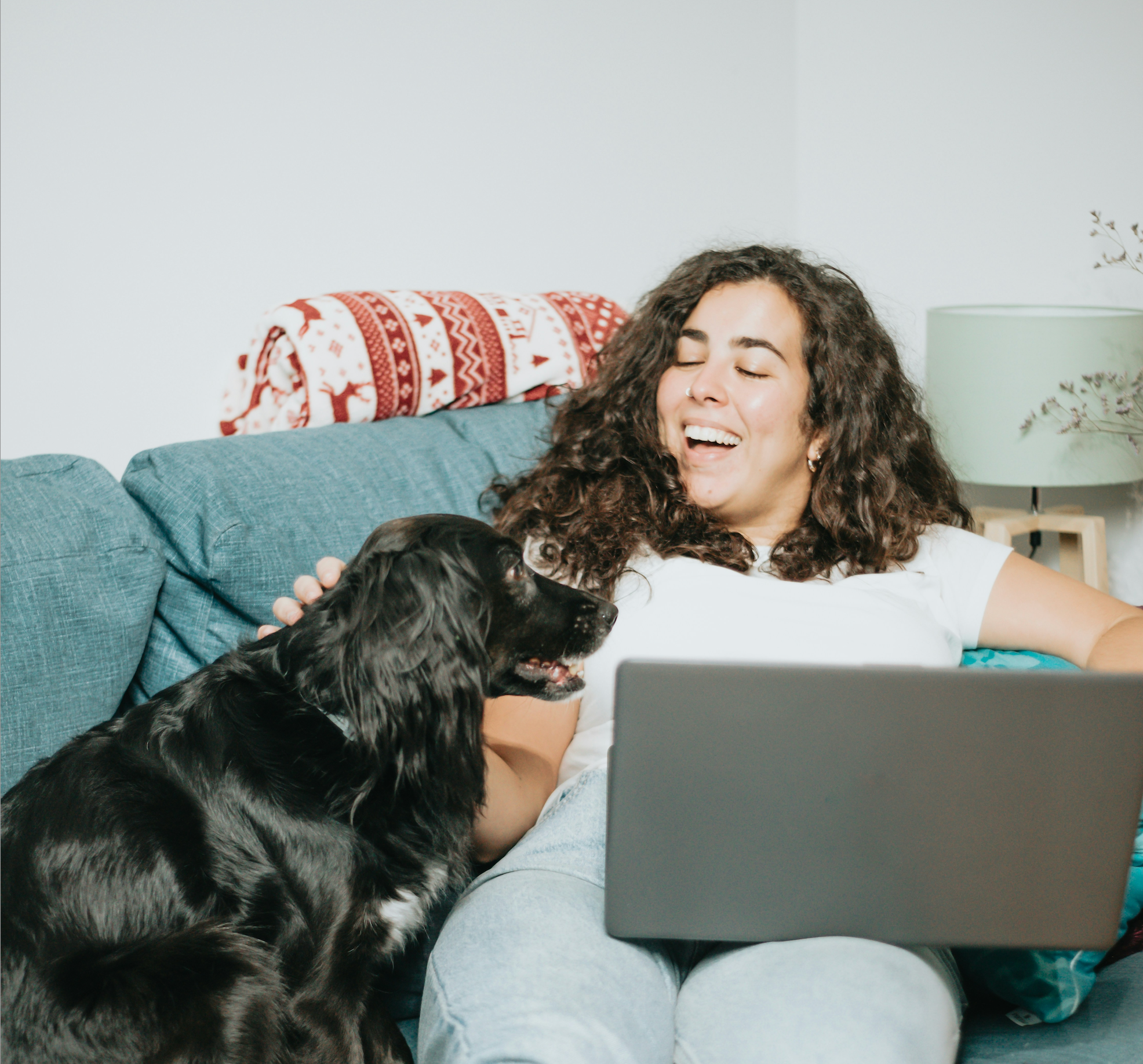 Virtual Dog Training Classes:Modern Solution for Pet Parents – LAY LO Pets