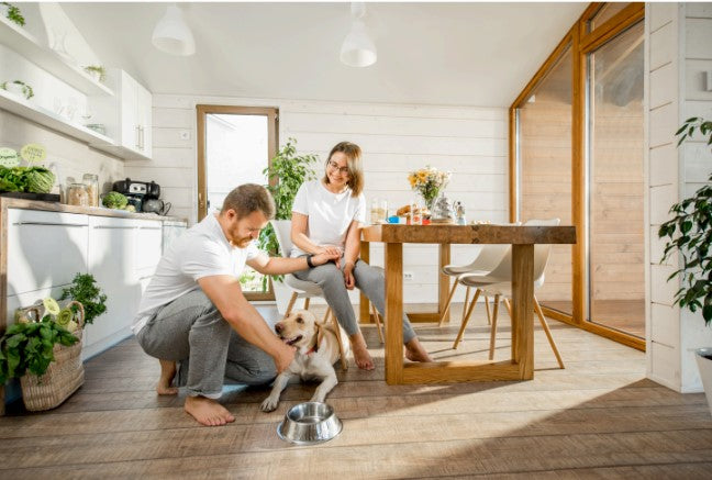 indoor puppy training