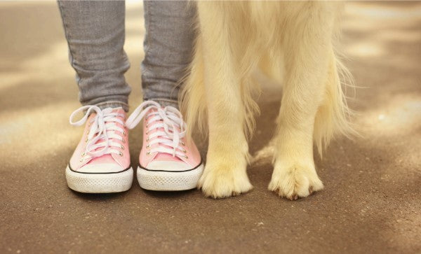 loose leash walking
