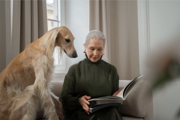 reward based dog training