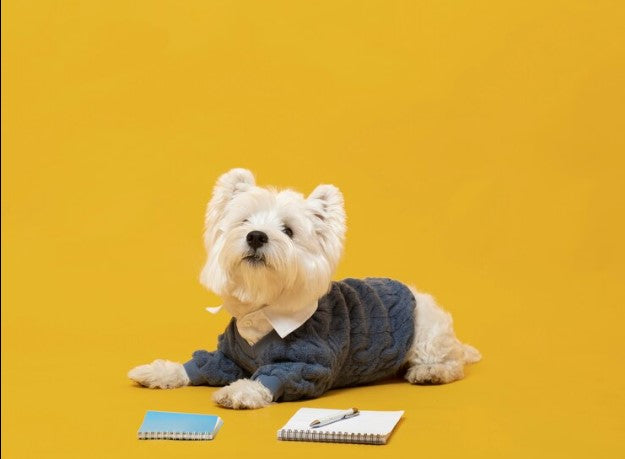 puppy potty training schedule, potty training a puppy