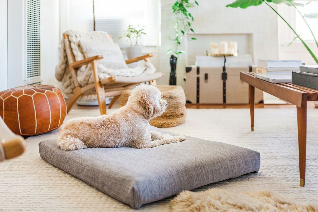 How Orthopedic Dog Beds Help Dogs