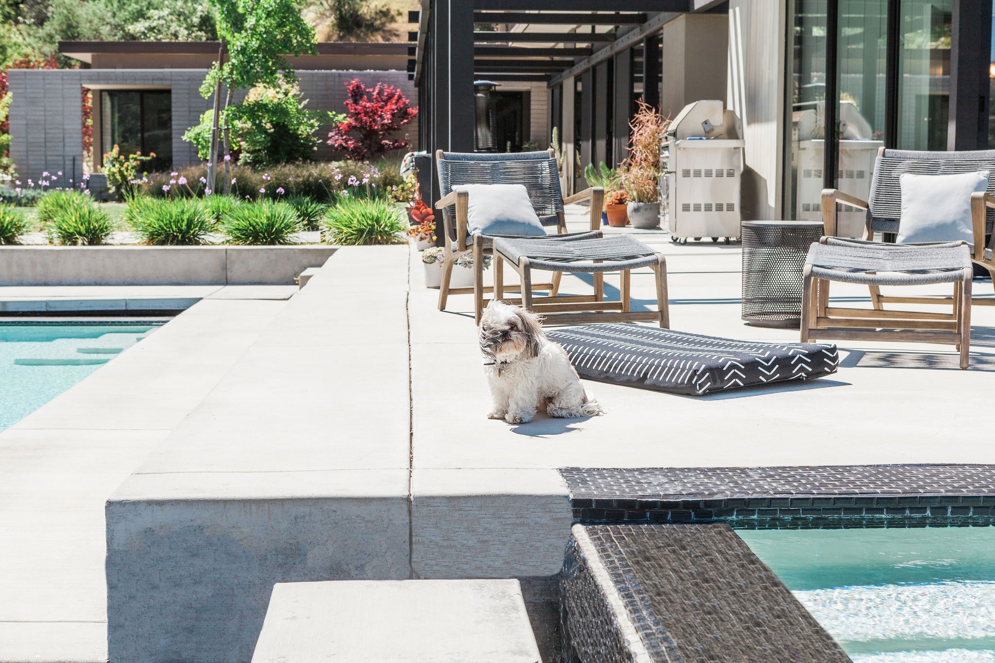 outdoor dog beds