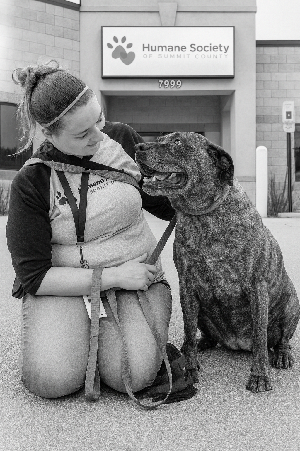 Ashley B - Certified Dog Trainer
