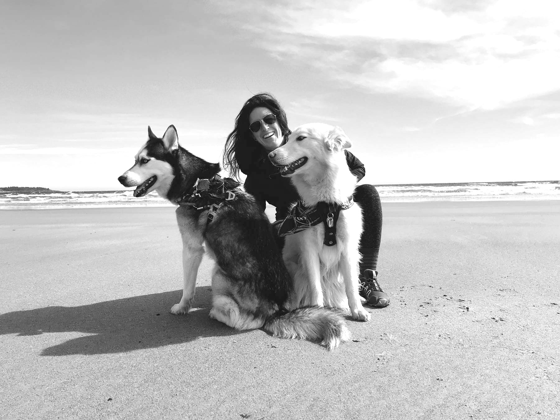 Stephanie S. - Force-free Dog Trainer, Nutritionist, Herbalist