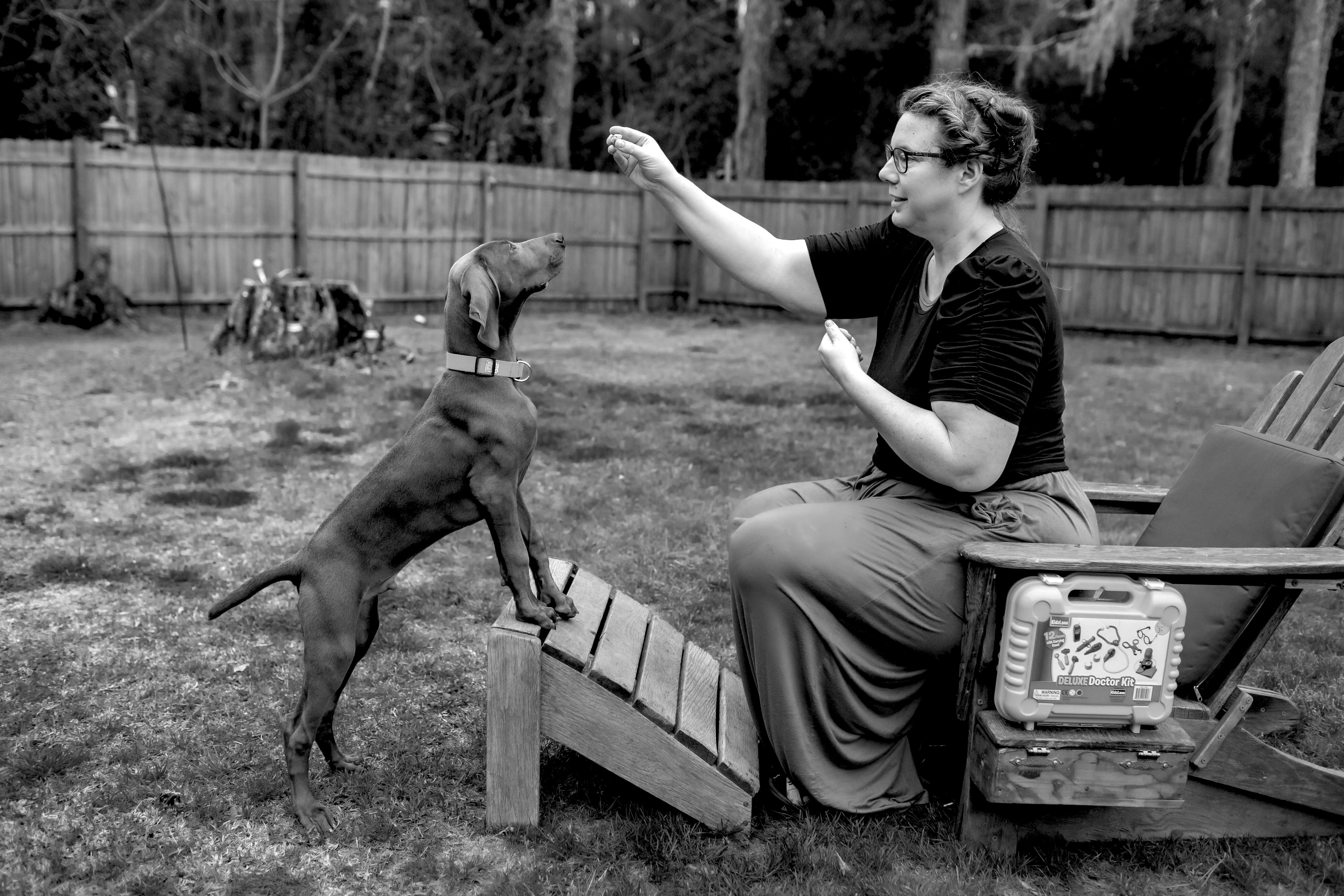 Jennifer F - Veterinary Technician &amp; Force-free Dog Trainer