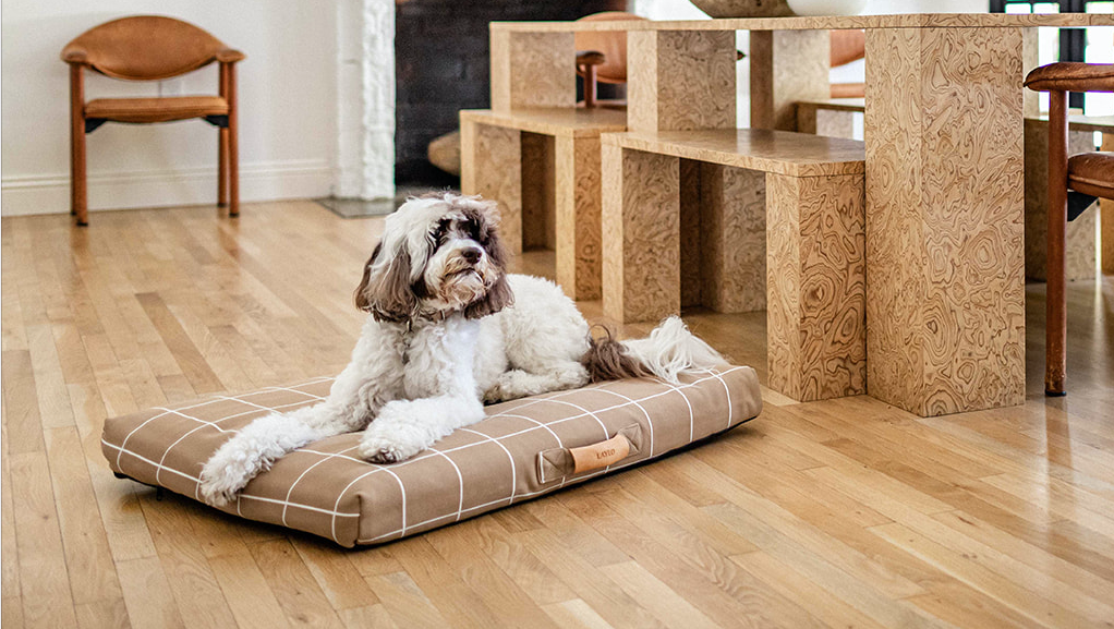 Dog on tan grid LAY LO dog bed