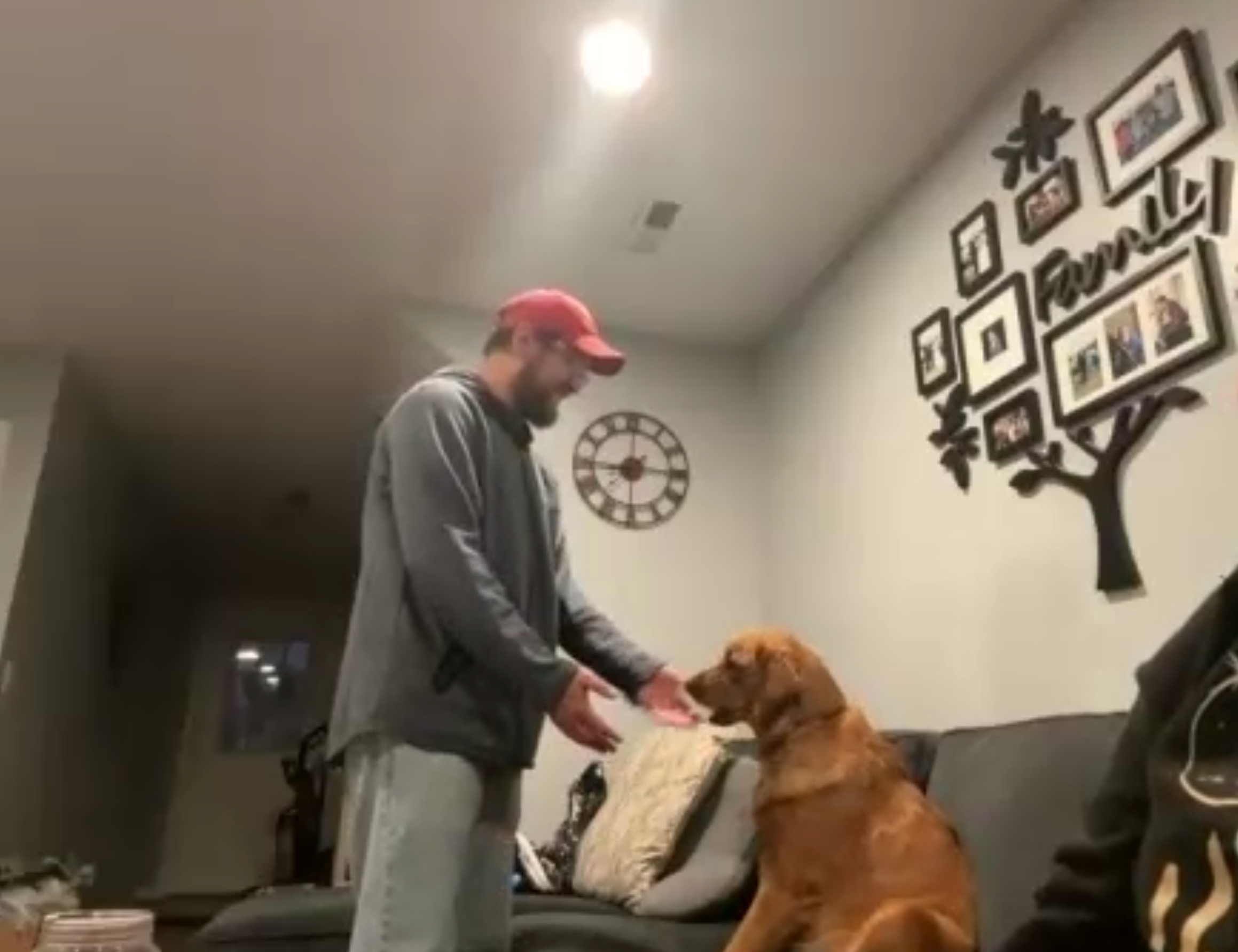 &quot;LAY LO helped our dog overcome his resource guarding issues. Our pup has a little anxiety, so having a stranger in our house may have prevented her from learning. Everything worked out really well and I would definitely recommend them.&quot;