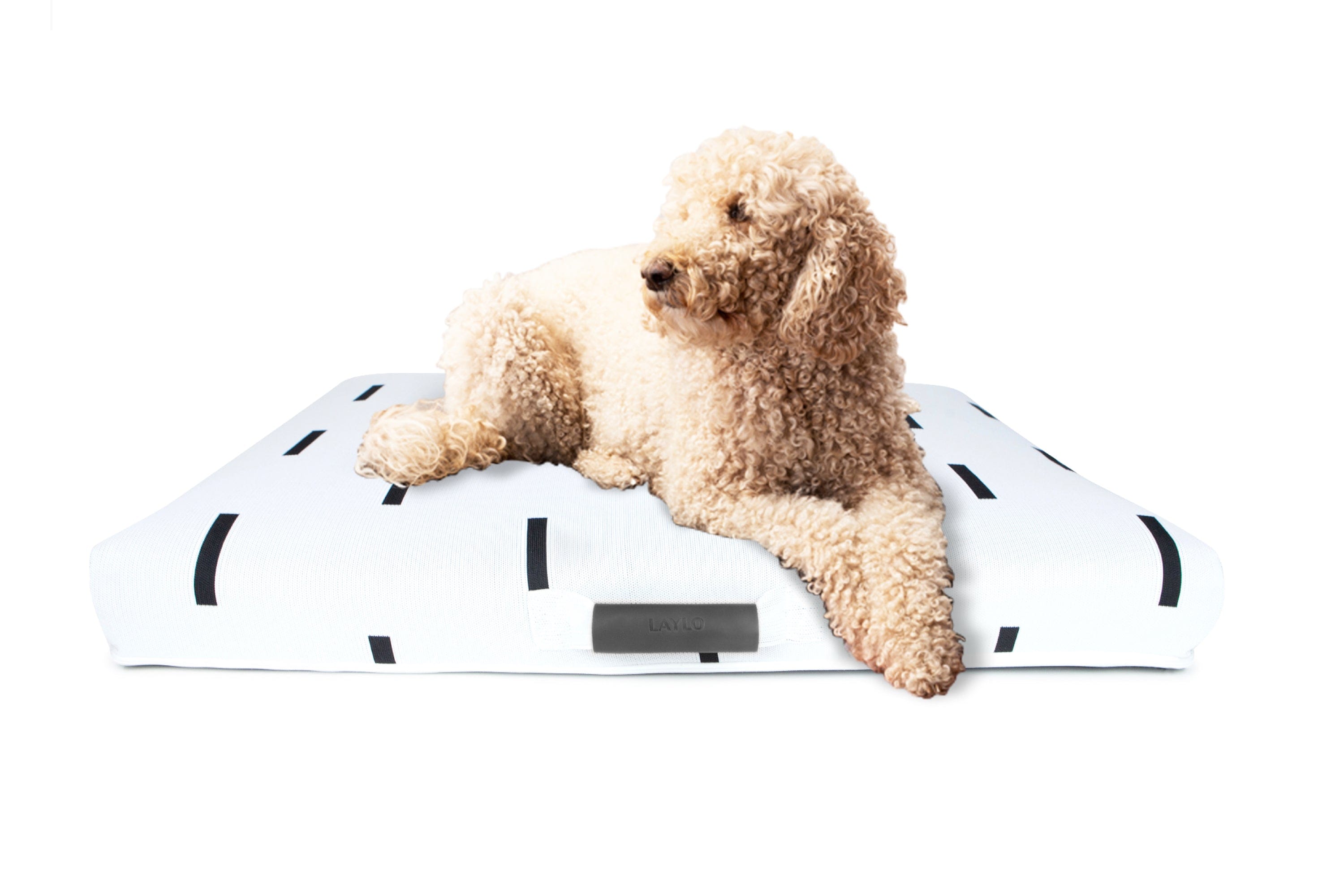 LAY LO™ Pets Boho White Rain | Boho Dog Bed or Bed Cover Lay Lo Pets, White Rain Boho Dog Bed