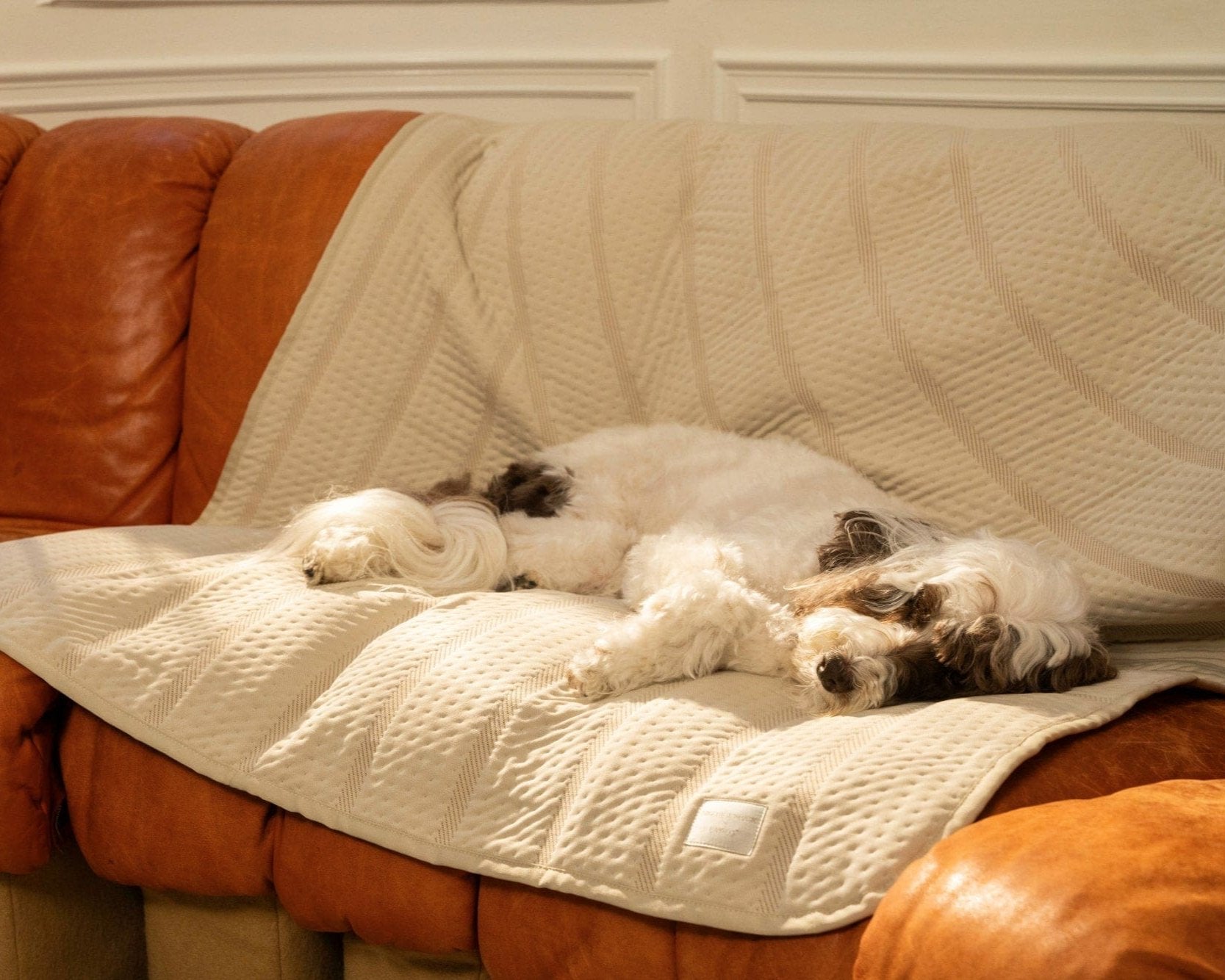 LAY LO™ Pets Brigette Romanek Brigette Romanek | Luxury Pet Blanket - Cream Lay Lo Pets