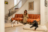 LAY LO™ Pets Brigette Romanek Brigette Romanek | Taupe Dog Bed or Bed Cover Lay Lo Pets