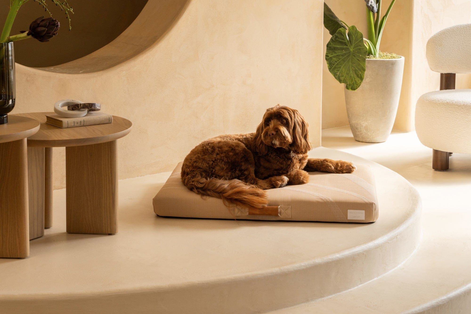 LAY LO™ Pets Brigette Romanek Brigette Romanek | Taupe Dog Bed or Bed Cover Lay Lo Pets
