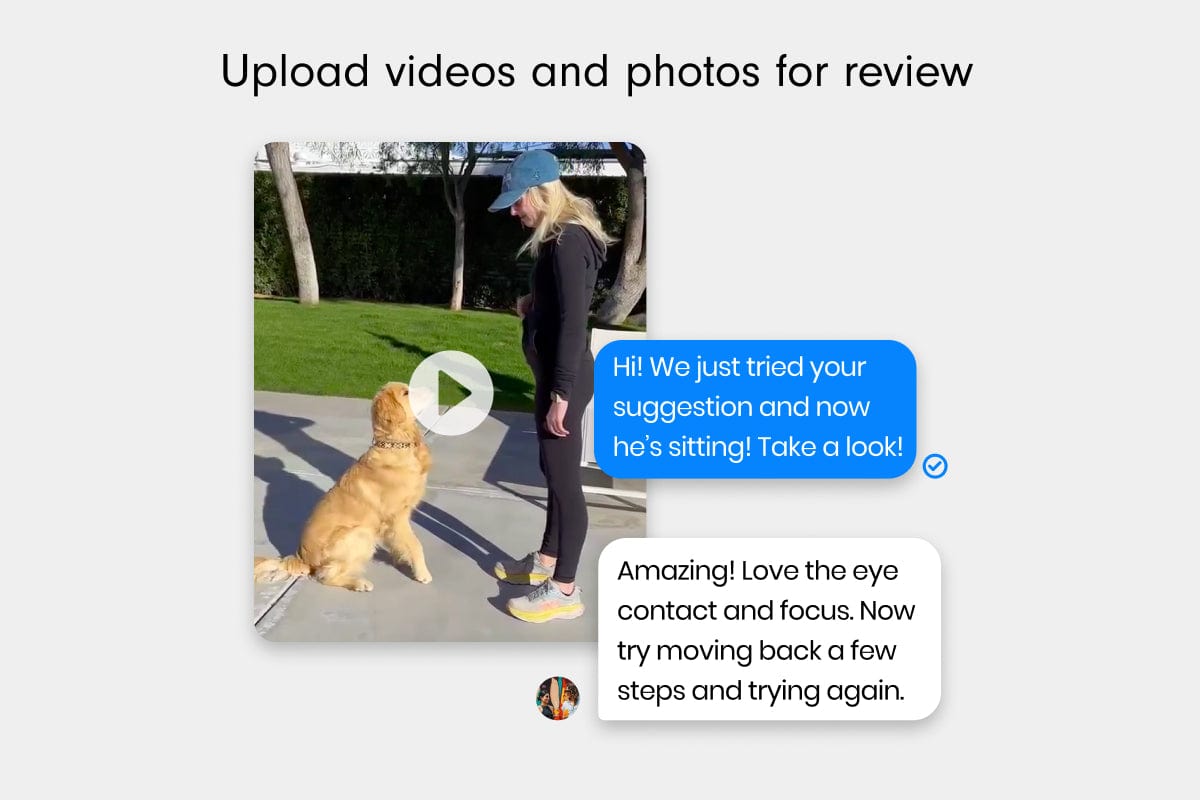 LAY LO Pets Homeschool Service Homeschool Lite: On-Demand Messaging with Dog Experts (Weekly) Lay Lo Pets