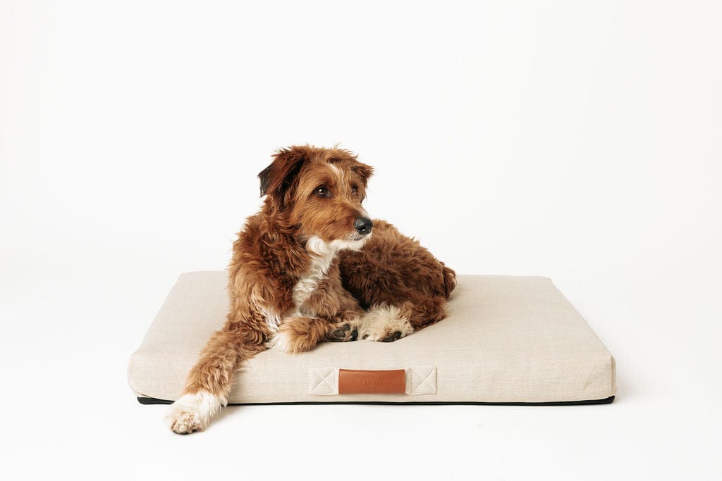 LAY LO™ Pets Minimalist Ecru | Modern Dog Bed or Bed Cover Lay Lo Pets