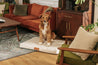 LAY LO™ Pets Minimalist Ecru | Modern Dog Bed or Bed Cover Lay Lo Pets