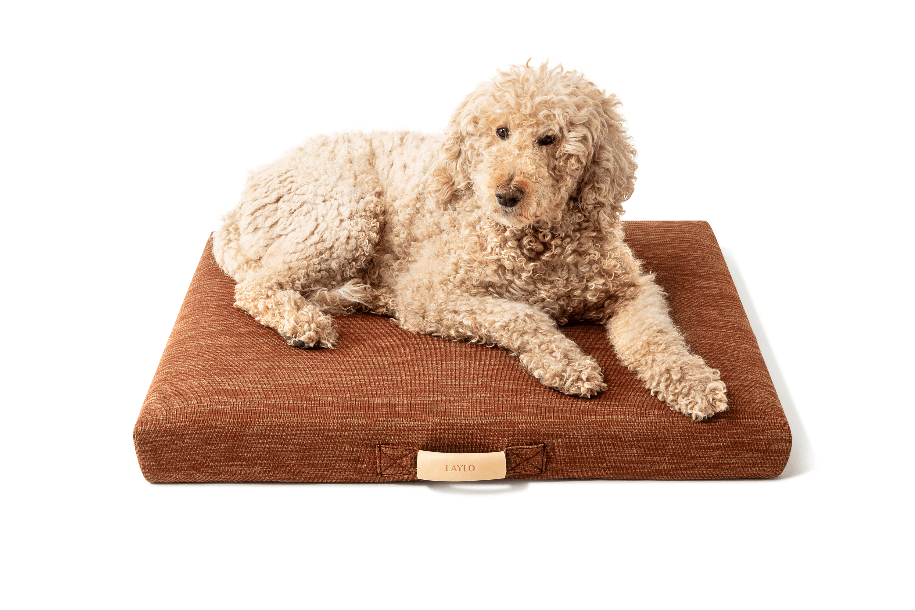 LAY LO™ Pets Minimalist Terra | Modern Dog Bed or Bed Cover Lay Lo Pets