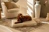 LAY LO™ Pets Romanek Brigette Romanek | Cream Dog Bed or Bed Cover Lay Lo Pets, cream dog bed, 