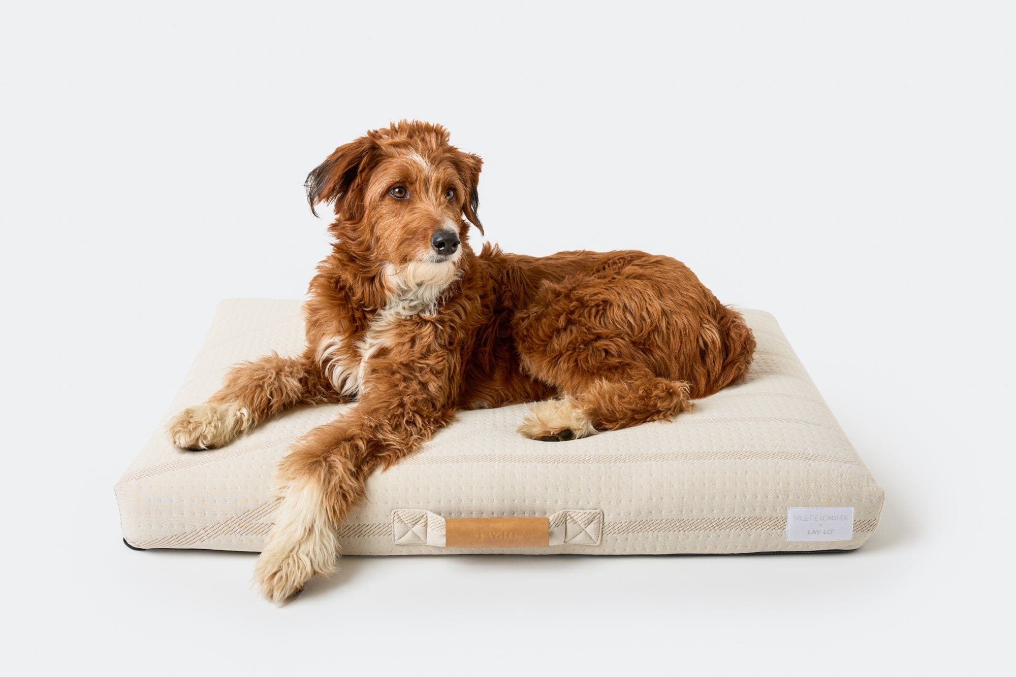 LAY LO™ Pets Romanek Brigette Romanek | Cream Dog Bed or Bed Cover Lay Lo Pets, cream dog bed, 