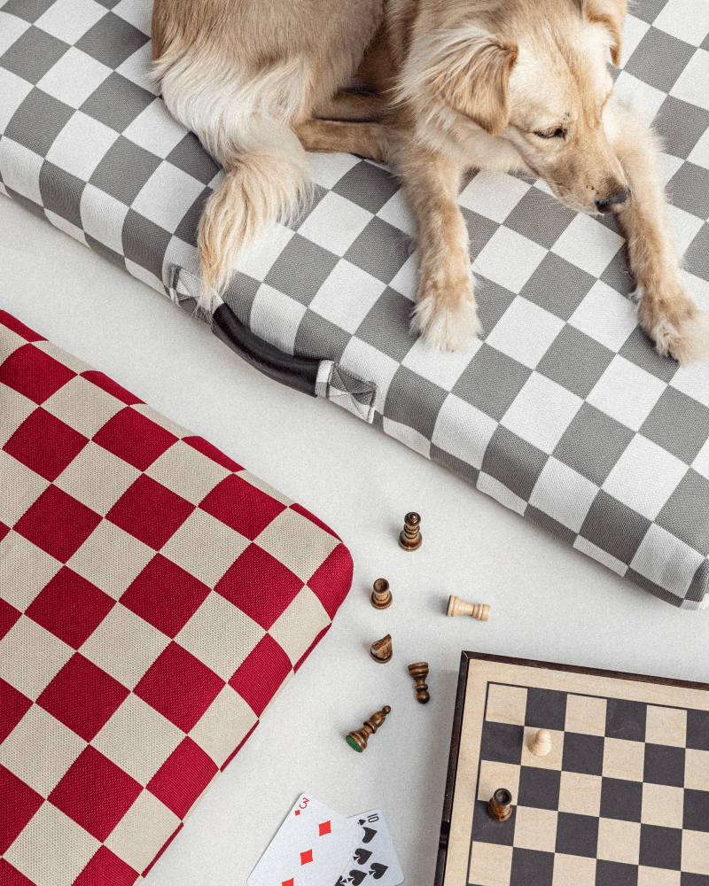 Red and Gray Checker LAY LO Dog Bed with Dog