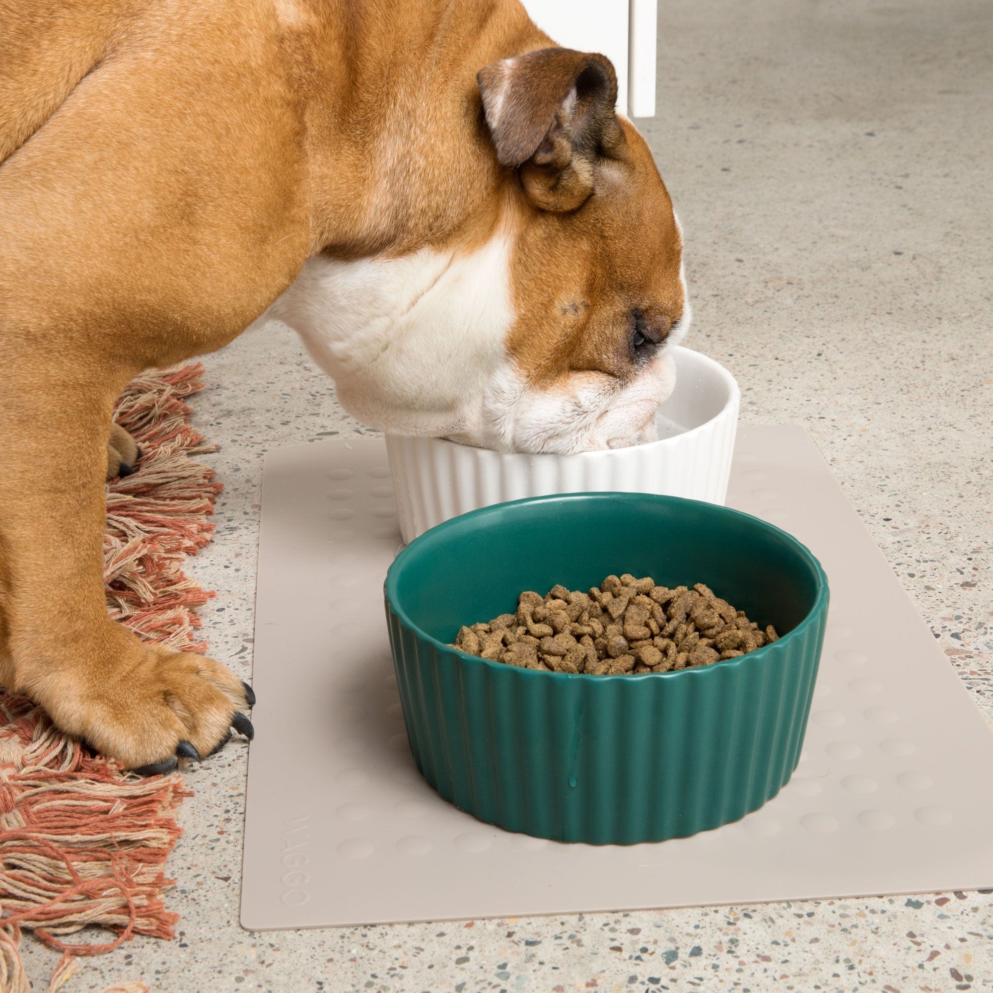 Waggo Ripple Ceramic Dog Bowl by Waggo Lay Lo Pets