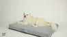 dog bed with cover, red checkered bedding, red pet bed,  checkered dog bed, 