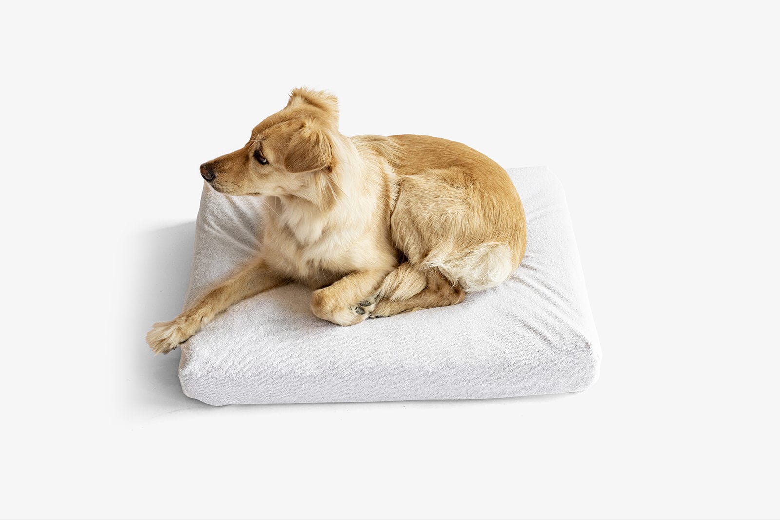 LAY LO™ Pets Animals & Pet Supplies LAY LO Pets - Premium Waterproof Dog Bed Liner & Stuff Sack Lay Lo Pets