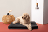 Laylo Pets Boho LAY LO Pets - Black Chevron Boho Dog Bed or Bed Cover Lay Lo Pets