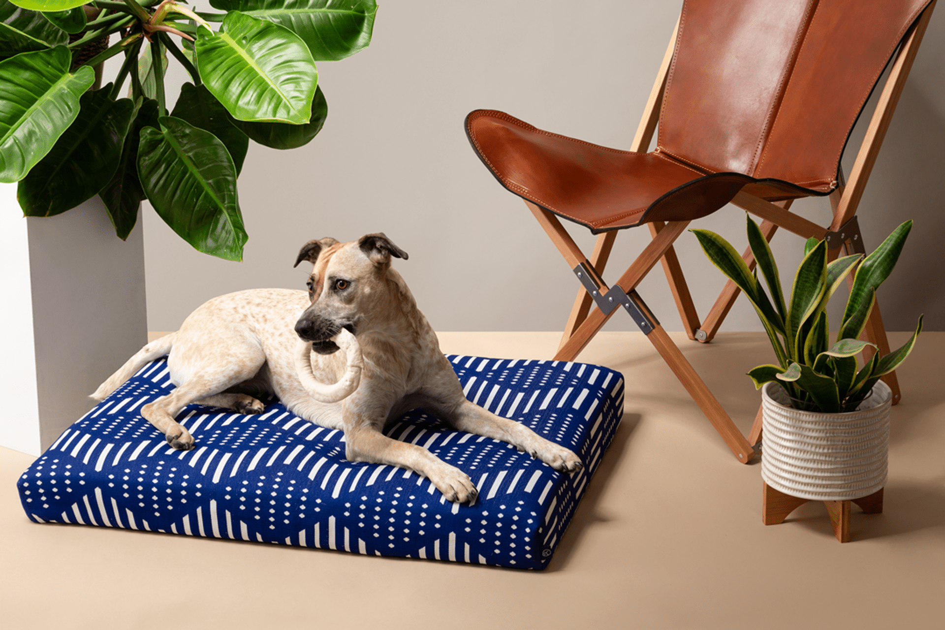 Shop Boho Blue Bogolan Dog Bed or Cover by LAY LO Pets
