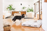 Laylo Pets Boho LAY LO Pets - White Rain Boho Dog Bed or Bed Cover Lay Lo Pets