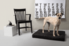 Laylo Pets Minimalist LAY LO Pets - Modern Black Dog Bed or Bed Cover Lay Lo Pets, orthopedic bed for dogs, 