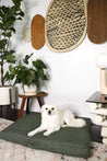 Laylo Pets Minimalist Sage Dog Bed or Bed Cover Lay Lo Pets