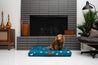 Laylo Pets Terrazzo LAY LO - Teal Terrazzo Mid-Century Modern Dog Bed or Bed Cover Lay Lo Pets