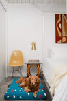 Laylo Pets Terrazzo LAY LO - Teal Terrazzo Mid-Century Modern Dog Bed or Bed Cover Lay Lo Pets